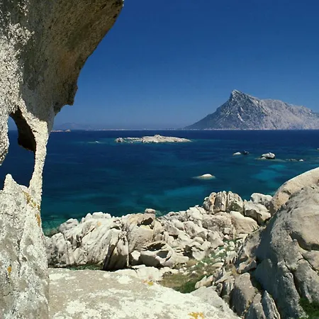 Casa Dello Scovolino *
