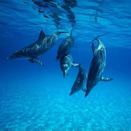 דירה Casa Dello Scovolino